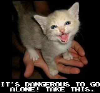 LOL cat dangerous funny Pictures, Images and Photos