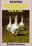 Keeping Domestic Geese 