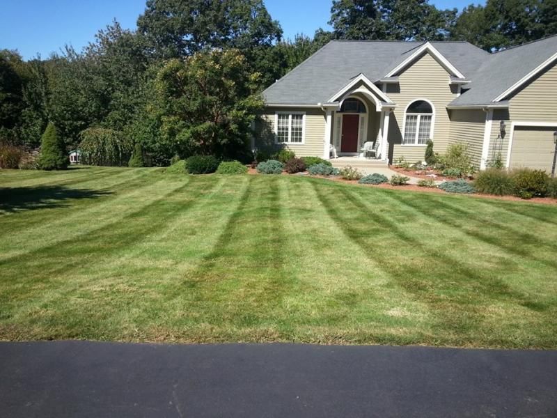 Maple Hill Lawn & Landscape Lawn Care Forum