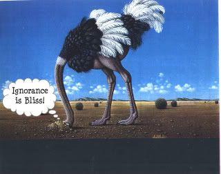 ostrich-4-1.jpg