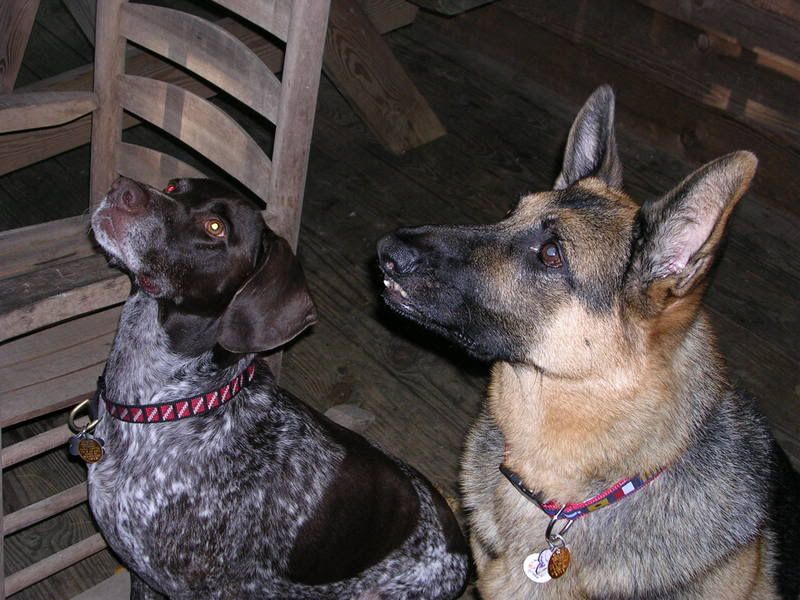 DSCN0672.jpg