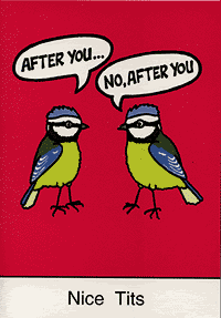 01-nicetits.gif