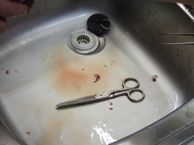 Photobucket - Video and Image Hosting