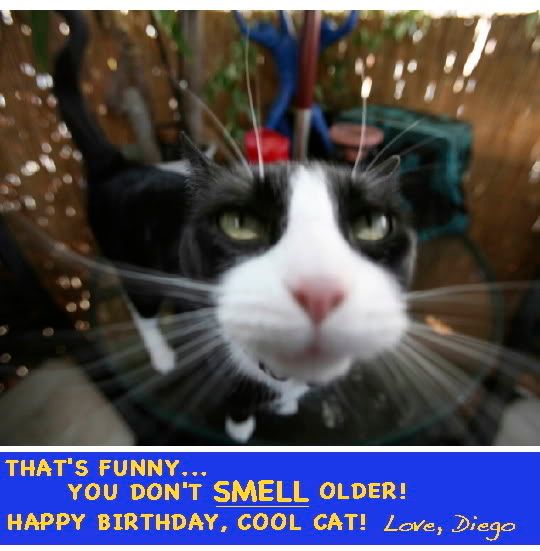 Happy Birthday Poppy