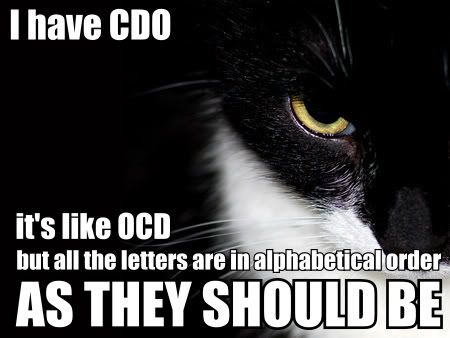 lolcat-has-cdo-which-is-like-ocd.jpg