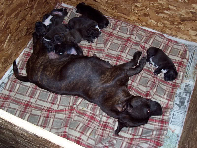 babies2001.jpg