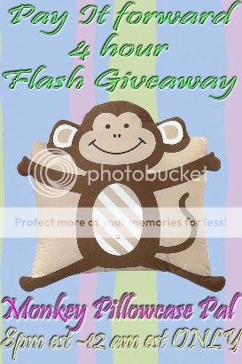Monkey Pillowcase Friend - 4 hour FLASH Giveaway!!