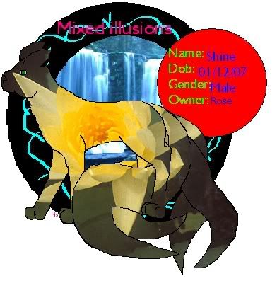 User Image