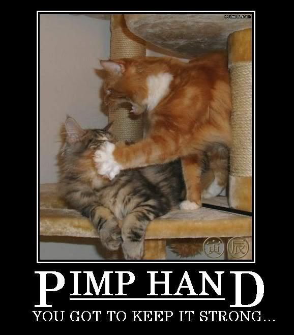 https://i83.photobucket.com/albums/j296/loubot/Misc/Pimp_Hand.jpg