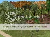 http://i83.photobucket.com/albums/j302/MagentaSFV/rare_pics/101_trees.jpg