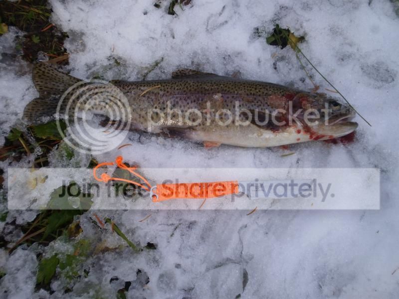  photo chunkyrainbow_zps8206c3ee.jpg