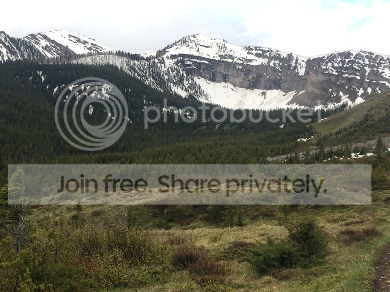  photo downbirchck_zpsndqcaqaj.jpg