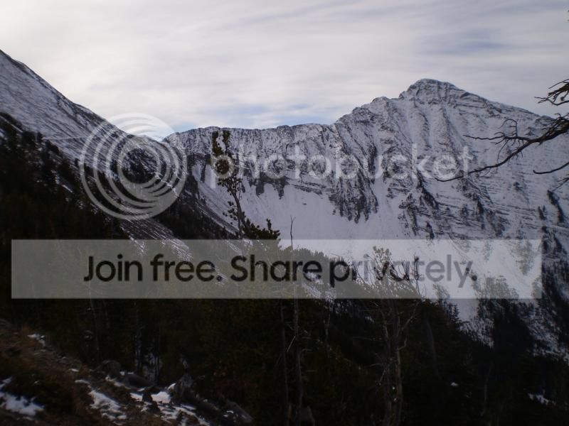  photo headedup_zpsb2d1ee77.jpg