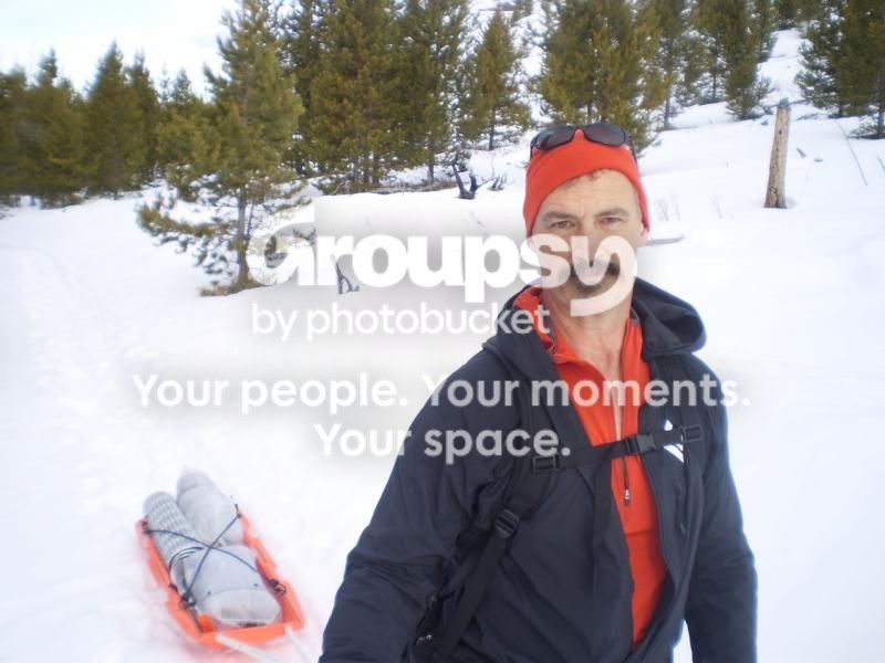  photo pulkinaction_zpse8ff9388.jpg
