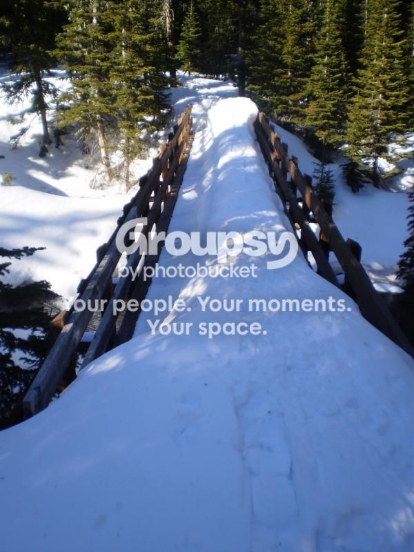  photo snowbridge_zps218m3syd.jpg