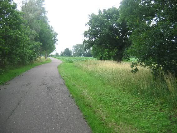 Bos 1