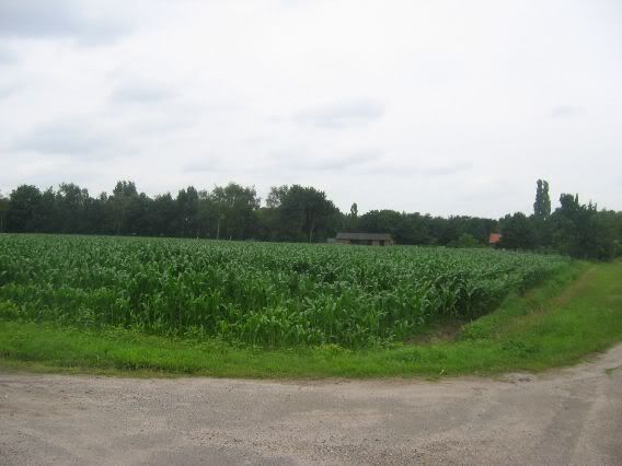 Bos 2