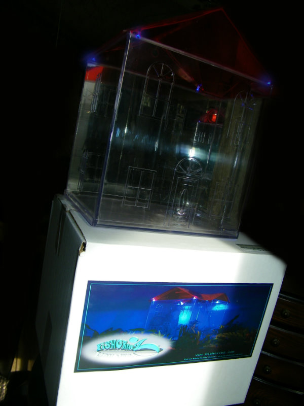 you can only buy this aquarium on  not sold in stores