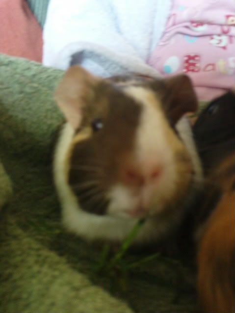 DSC00434.jpg