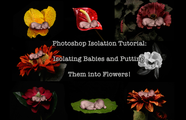 Photoshop Tutorial Babies in Flowers + Images WOW  