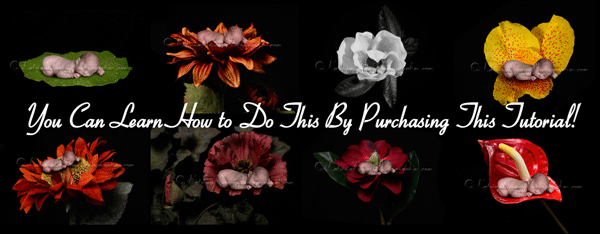 Photoshop Tutorial Babies in Flowers + Images WOW  