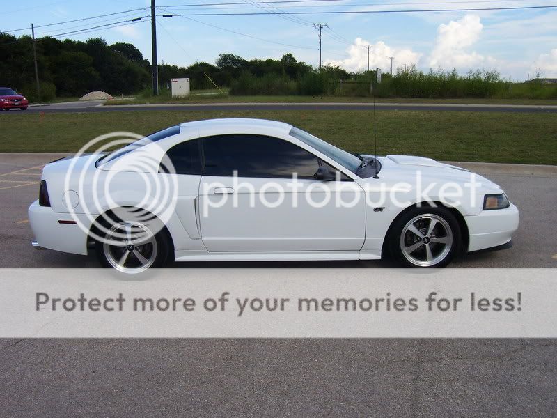2002 Ford mustang gt white #7
