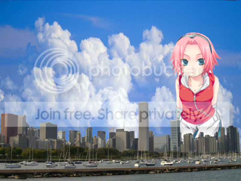 User Image