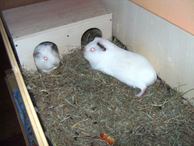 CottonandYou_1.jpg
