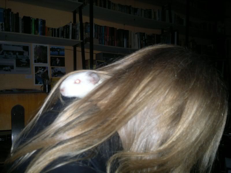 Youinmyhair.jpg